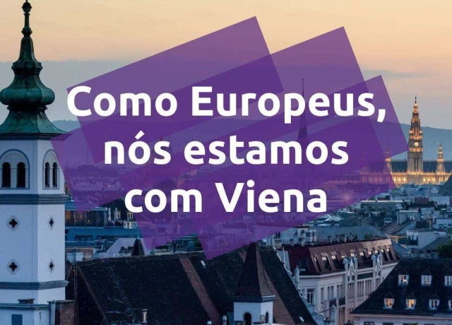 Ataques Viena