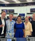 Eurodeputados Volt